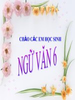Bài 8  ngôi kể trong văn tự sự