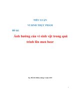 Đề án Ảnh hưởng của vi sinh vật trong quá trình lên men beer