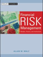Financial risk management models history  and institution  models history, and institution