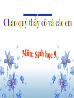 Bài 5  lai hai cặp tính trạng (tiếp theo) 