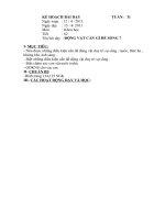 Kế hoạch bài dạy môn khoa học lớp 4 tuần 31 t62 