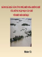 ĐÁNH GIÁ KHẢ NĂNG ỨNG PHÓ, điều hòa KHÔNG KHÍ của RỪNG NGẬP mặn cần GIỜ với BIẾN đổi KHÍ hậu 