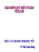 Bài 2  một số oxit quan trọng 