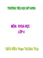 Bài 23  sơ đồ vòng tuần hoàn của nước trong tự nhiên 