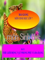 Bài 1  thế giới động vật đa dạng, phong phú 