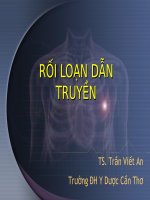 ROI LOAN DAN TRUYEN   TS  tran viet an 