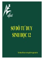 SƠ đồ tư DUY   SINH học 12
