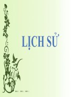 Bài 2  sự suy vong của chế độ phong kiến và sự hình thành chủ nghĩa tư bản ở châu âu 