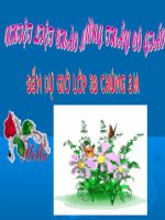 So  sánh  dấu chấm LTVC lớp 3 số 9 