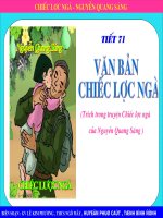 Bài giảng chiếc lược ngà nguyễn quang sáng 