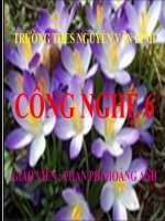 sử dụng và bảo quản trang phục tiếp theo 1 