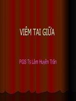 BÀI GIẢNG Viêm tai giữa