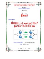 Tìm hiểu về phương pháp sắc ký trao đổi ion