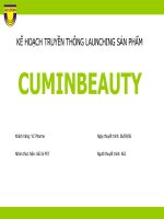 Kế Hoạch Truyền Thông Launching Sản Phẩm Cuminbeauty