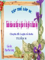 Tuần 8  bàn tay dịu dàng 