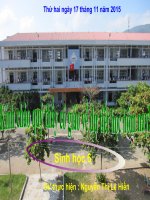 Bài 24  phần lớn nước vào cây đi đâu 