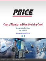 Costs of Migration and Operation in the Cloud