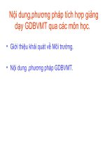 Nội Dung, Phương Pháp Tích Hợp Giảng Dạy GDBVMT Qua Các Môn Học
