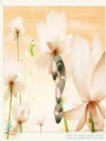 Bài 10  thông tin về ngày trái đất năm 2000 