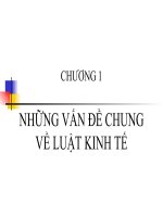 Những Vấn Đề Chung Về Luật Kinh Tế