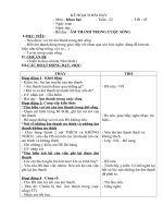 Giáo án môn khoa học lớp 4 tiết 43 