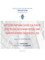 luan van tin dung vib