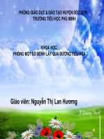 Bài 14  phòng một số bệnh lây qua đường tiêu hoá   khoa học 4 