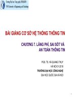 Bài Giảng Cơ Sở Hệ Thống Thông Tin Lãng Phí, Sai Sót Và An Toàn Thông Tin