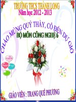 bài 4 sử dụng bảo quản trang phục 