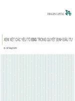 Xem Xét Các Yếu Tố Esg Trong Quyết Định Đầu Tư