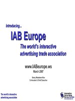 danny meadowsklue introducing iab europe 4.1