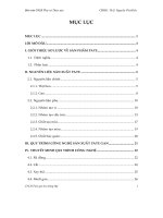 Báo cáo Công nghệ chế biến pate gan heo đóng hộp