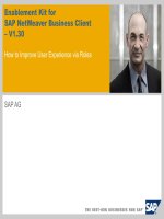 NWBC How to Improve User Experience via Roles