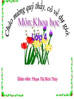 Bài 24  nước cần cho sự sống 