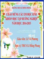 Bài 3  tĩnh vật (lo, hoa và quả   vẽ màu)1 