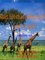 Bài 18 câu hỏi và bài tập tổng kết chương i cơ học vật lý 8 