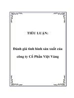 Tiểu luận Đánh giá tình hình sản xuất của công ty Cổ Phần Việt Vàng