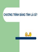 Bài 1  chương trình bảng tính là gì 