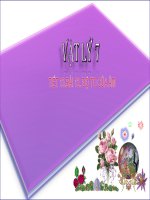 Bài 12  độ to của âm 