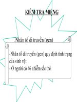 Bài 8  nhiễm sắc thể 