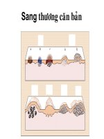 Bài Giảng Sang Thương Căn Bản