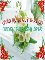 Bài 9  các loại rễ, các miền của rễ   sinh học 6 