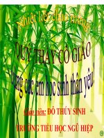 Bài 22  tre, mây, song 