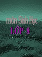 Bài 17  tim và mạch máu 