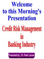 Credit Risk Management Lecture
