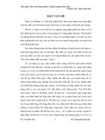 Tiểu luận Nghiên cứu thực phẩm chức năng cho người đái tháo đường