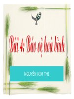 Bài 4  bảo vệ hoà bình 