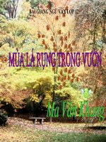 Bài Giảng Mùa Lá Rụng Trong Vườn