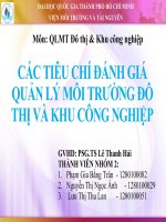 TIỂU LUẬN môn học QUẢN lý môi TRƯỜNG đô THỊ và KHU CÔNG NGHIỆP các TIÊU CHÍ ĐÁNH GIÁ QUẢN lý môi TRƯỜNG đô THỊ và KHU CÔNG NGHIỆP 