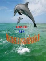 Bài 19  phòng tránh tai nạn giao thông đường bộ 